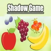 Shadow Game