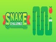 Snake Challenge